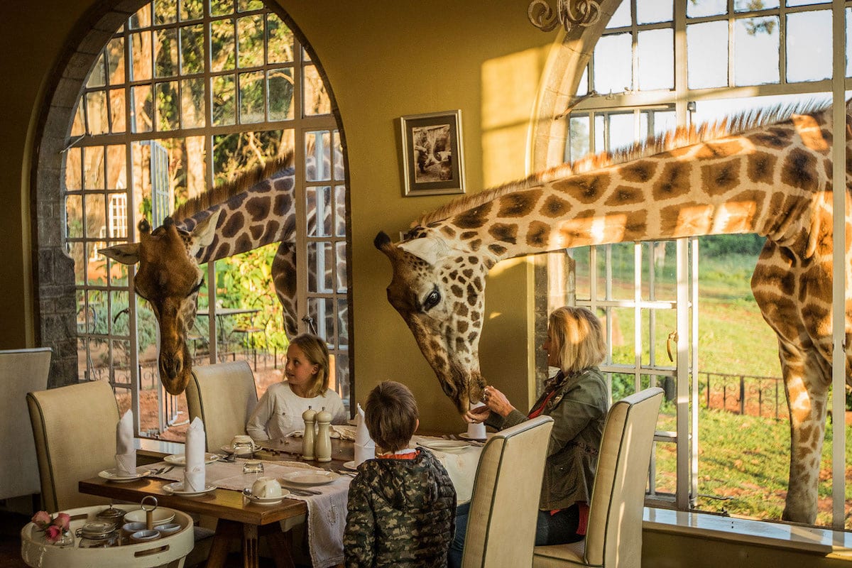 Giraffe Manor, Nairobi