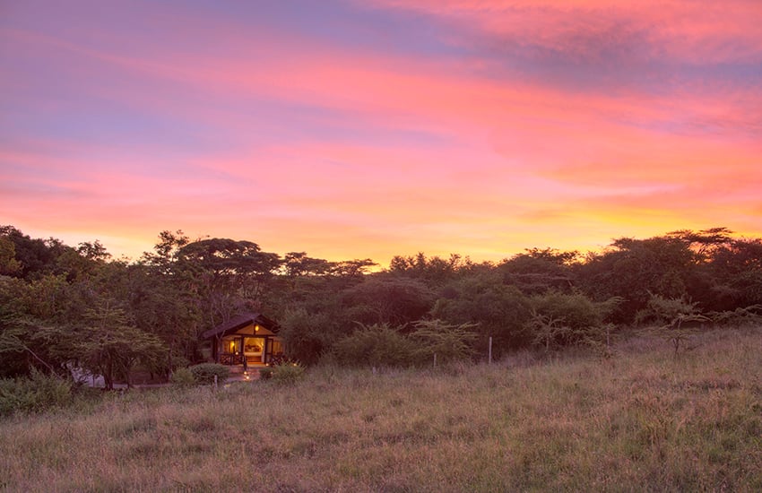 Enjoy a Full Day in Masai Mara