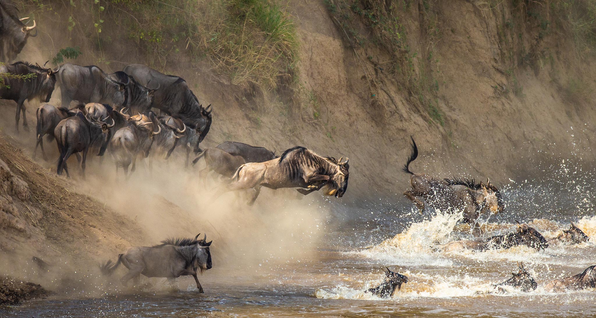 MASAI MARA NATIONAL RESERVE